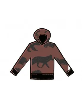 Sweat capuche « Animaux»